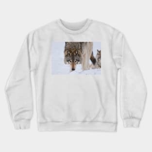 Timber Wolves Crewneck Sweatshirt